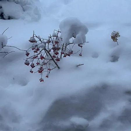 Nyaraló Punkt Koscielisko, Dom Gorski 800 M Od Doliny Koscieliskiej *