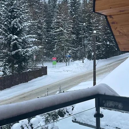 Punkt Koscielisko, Dom Gorski 800 M Od Doliny Koscieliskiej *